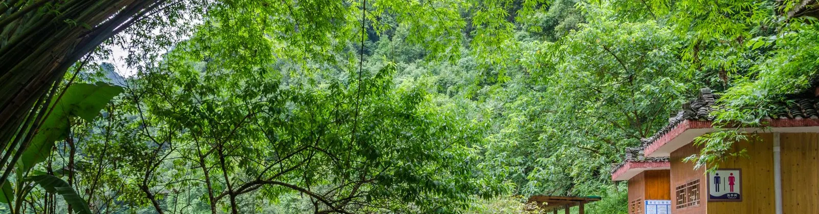 玩水避暑