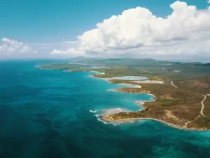 Bahía Bioluminiscente