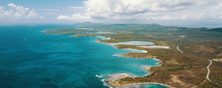 Bahía Bioluminiscente