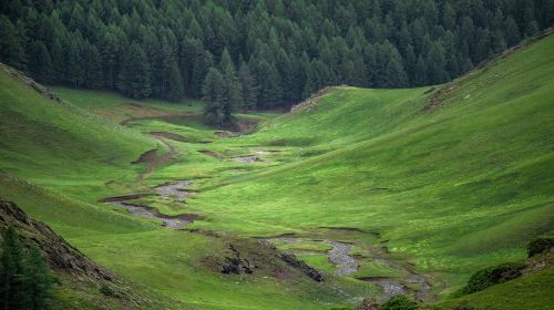 Balikun Grassland