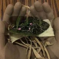 Kuuk User Photo