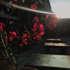 瑞丽勐卯宴 User Photo