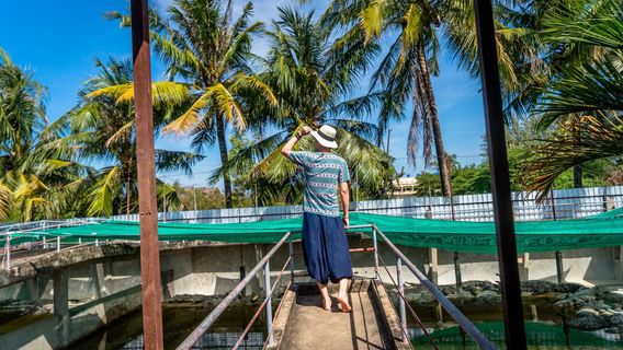 Battambang Crocodile Farm
