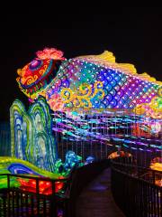 Zigong Colored Lantern Park