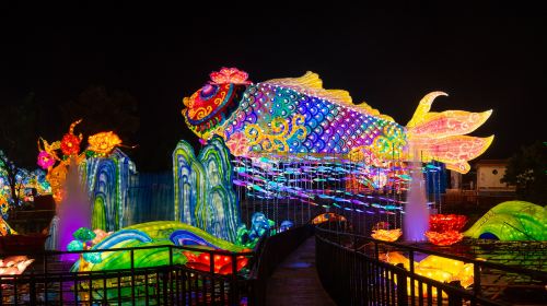 Zigong Colored Lantern Park