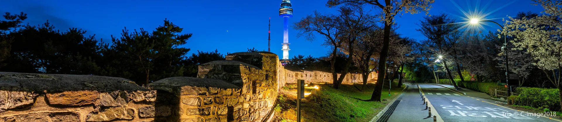 Night Attractions