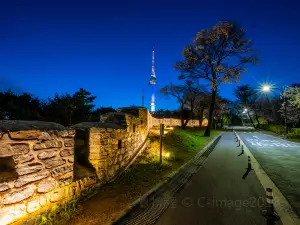 Top 50 Night Attractions in South Korea