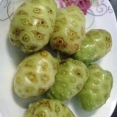 Bone Gyi User Photo