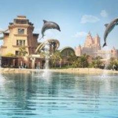 Dolphin Bay Travel Guidebook Must Visit Attractions In Dubai Dolphin Bay Nearby Recommendation Trip Com