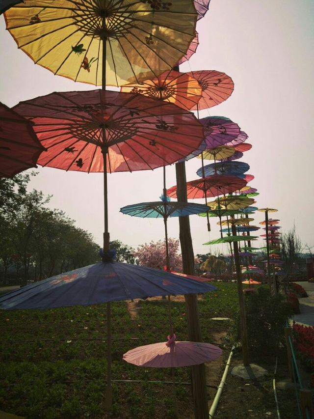 Gaoming Yingxiang Ecological Park