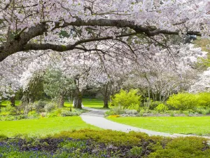Queen Elizabeth Park