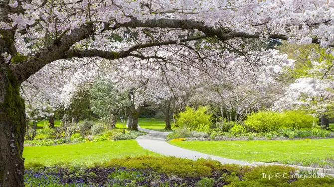 Things to Do in Vancouver in Spring