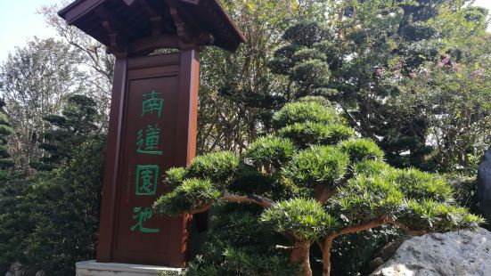 去过这个公园很多次了，每次都有不同的收获；今次是专门来看中国