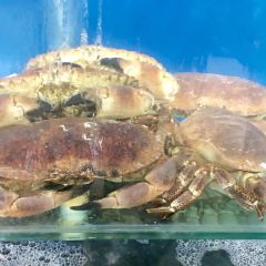 巧克力漁家（三浴場店）張用戶圖片