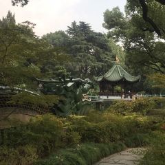 西天目林海农庄 ảnh của người dùng