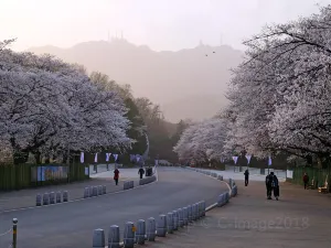 서울대공원