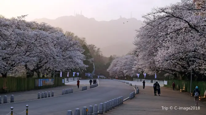 2_Seoul Grand Park