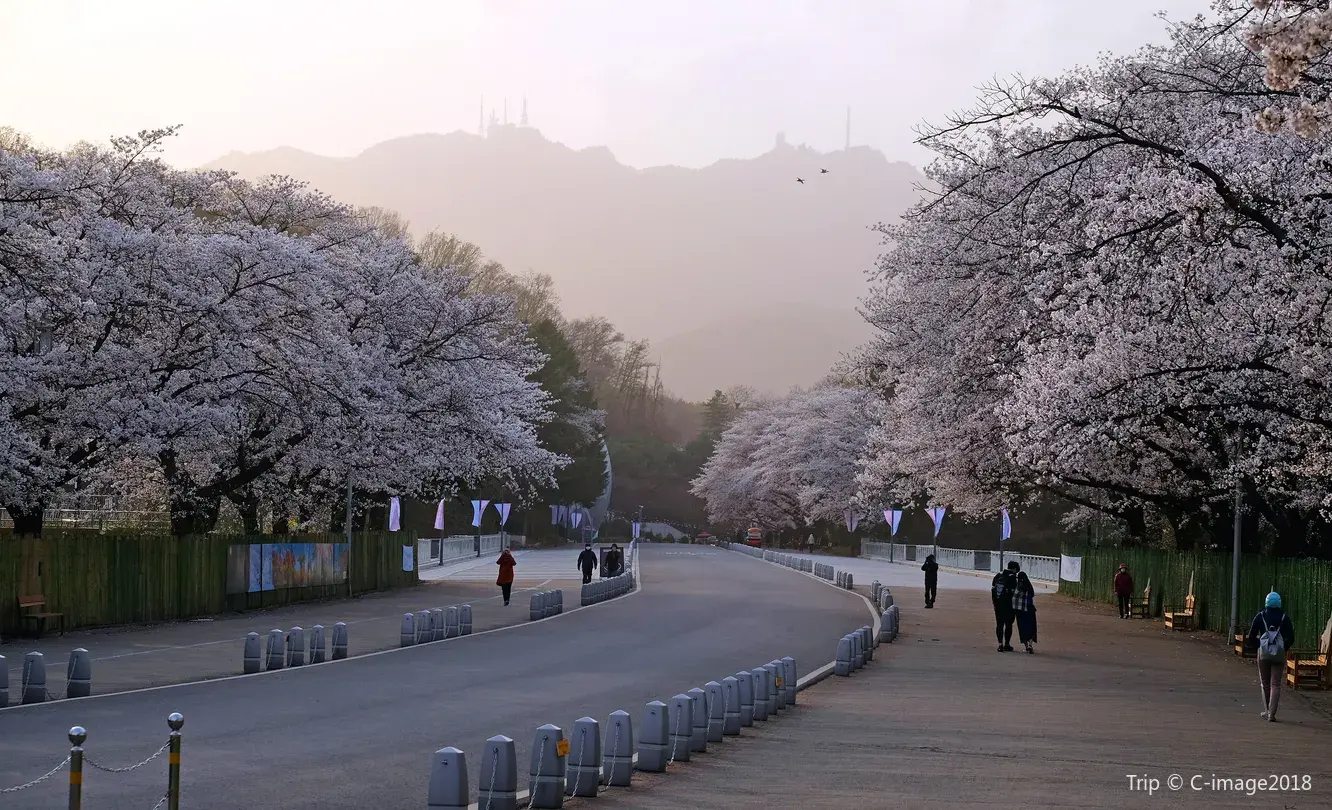 2_서울대공원