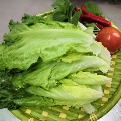 那路傣味园农家乐 User Photo