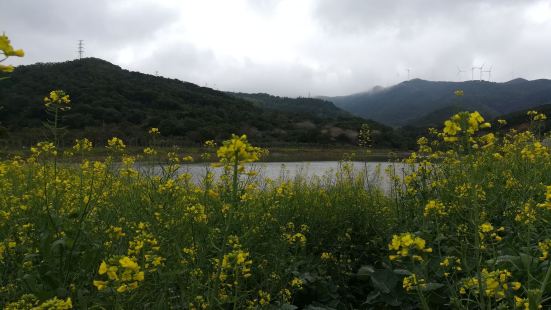 白鷺生態公園位於南澳縣后宅鎮東側，以北面坑水庫湖體為中心，依