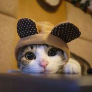 head-img