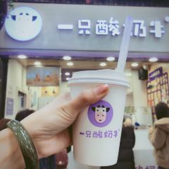 Yizhisuannainiu (jiefangbeibayilu) User Photo