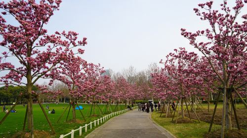 世紀公園