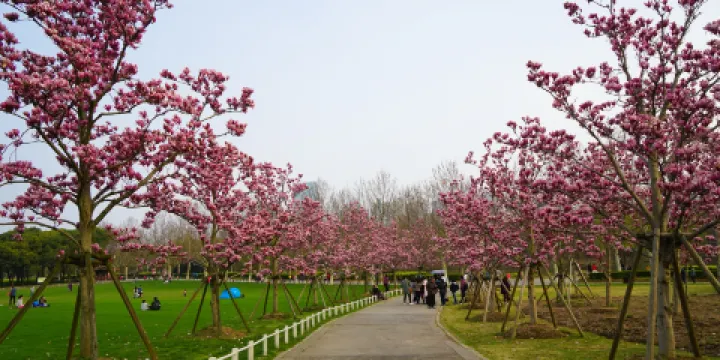 世紀公園