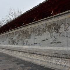 孫羊正店張用戶圖片