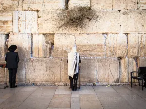 The Western Wall Plaza
