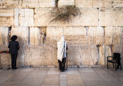 The Western Wall Plaza