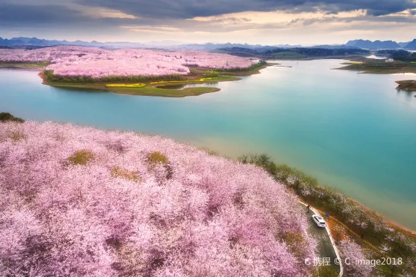 Hotels near Guizhou University Books And Information Center