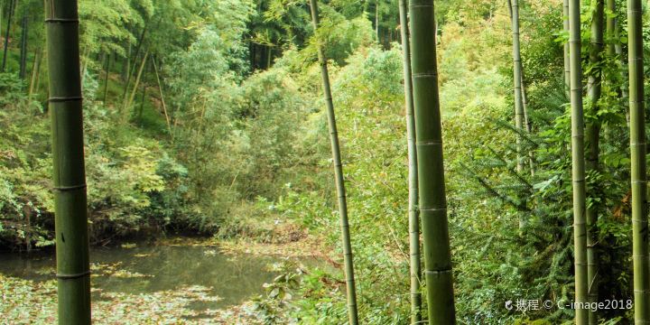 Luhuadang