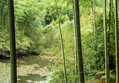 芦花蕩公園