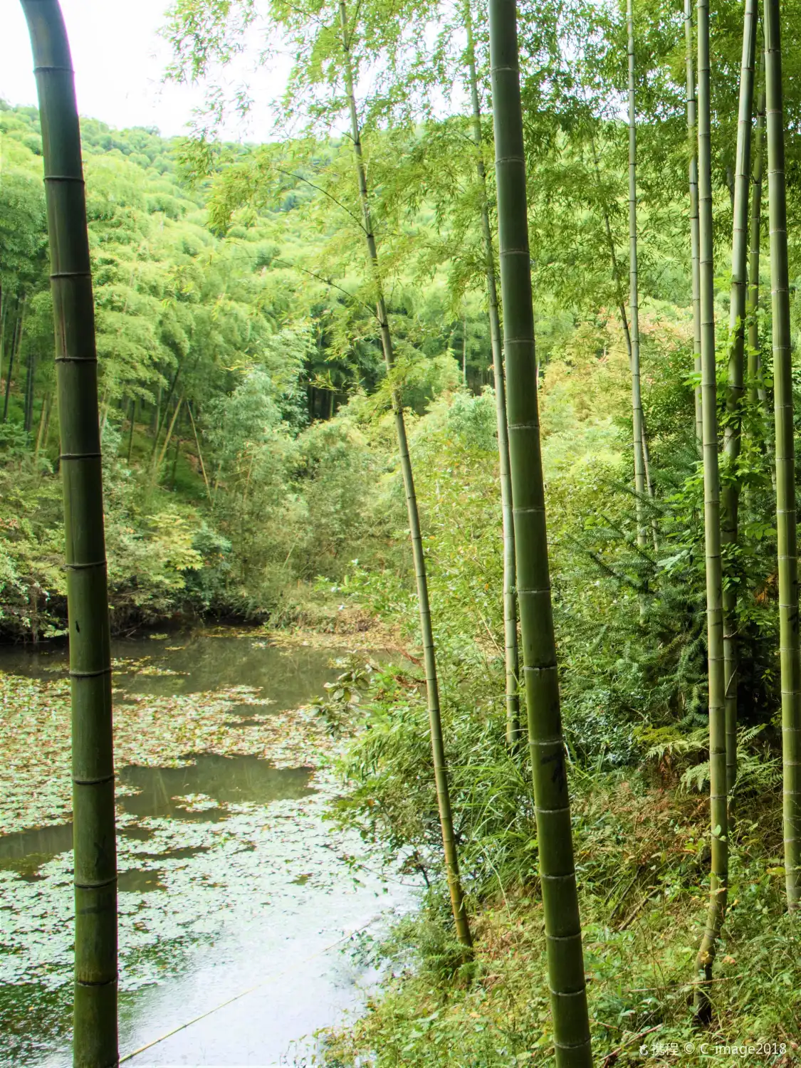 Hotels near Luhuadang