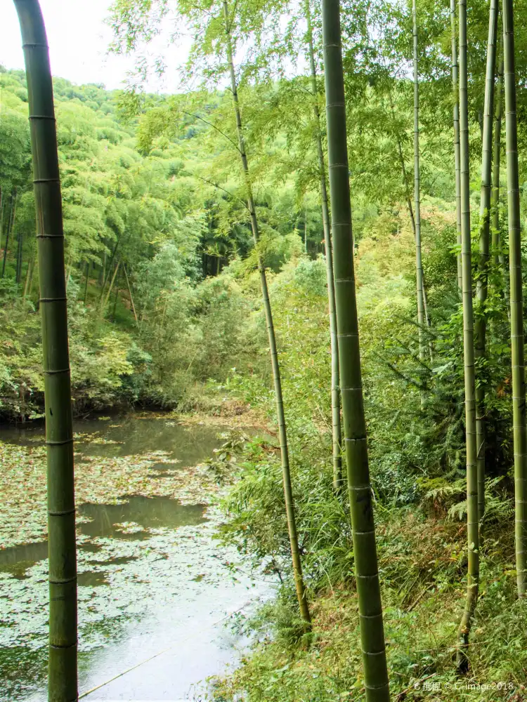 Hotels near Luhuadang