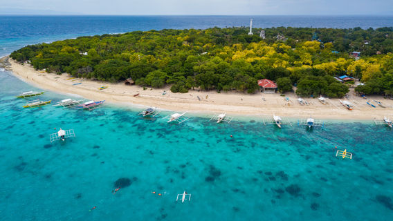 Bohol