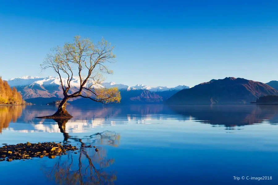 Lake Wānaka