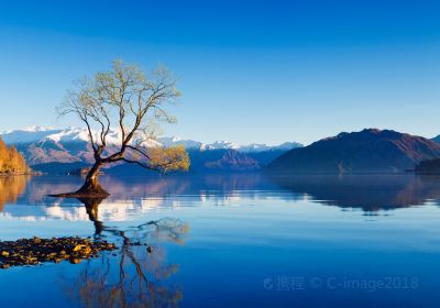 Lake Wānaka