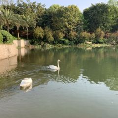 Chongqinghengdajiudian· Western Restaurant User Photo