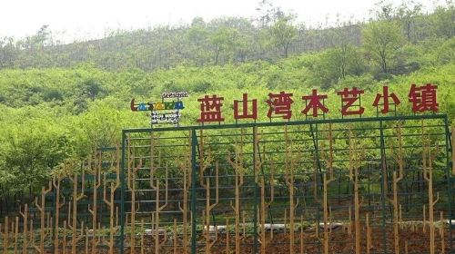 Lanshan Bay Wooden Ecological Town