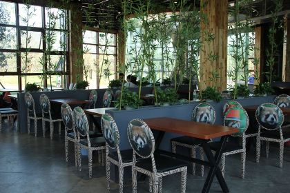 Little Panda Restaurant