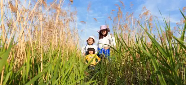 Các khách sạn ở Lục An
