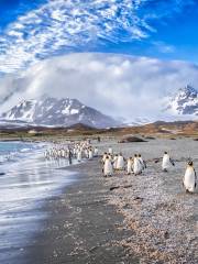 South Georgia Island