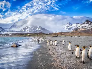 South Georgia Island