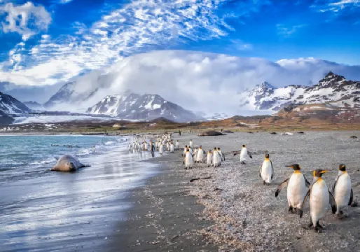South Georgia Island