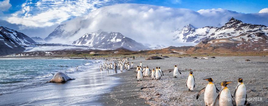 South Georgia Island