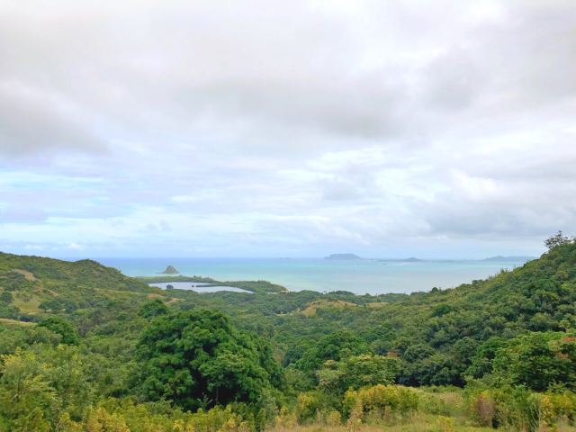 Mokolii