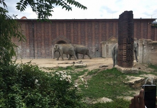 ライプツィヒ ライプチヒ動物園 評判 案内 トリップドットコム ライプツィヒ ライプチヒ動物園 評判 案内 トリップドットコム