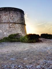 Torre De Ses Portes